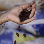 Load image into Gallery viewer, Roasted Grade A Baru Nuts