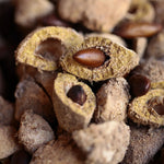 Load image into Gallery viewer, Roasted Grade A Baru Nuts 24 oz